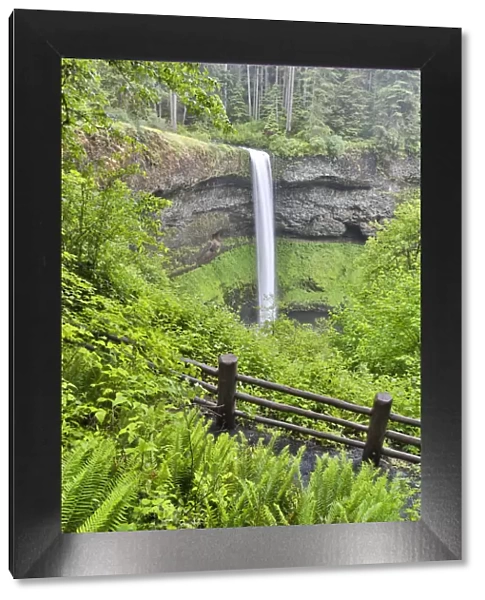Silver Falls State Park, Oregon. South Falls and trail leading to it