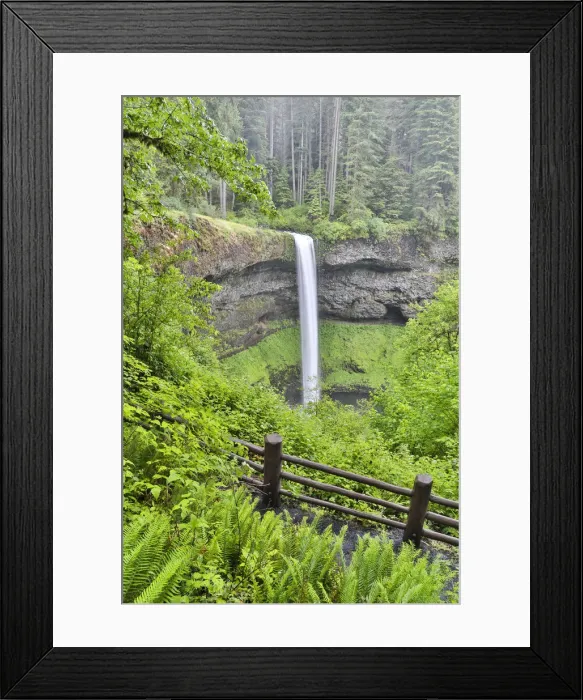 Framed Print : Silver Falls State Park, Oregon. South Falls and trail leading to it Framed Print : Silver Falls State Park, Oregon. South Falls and trail leading to it