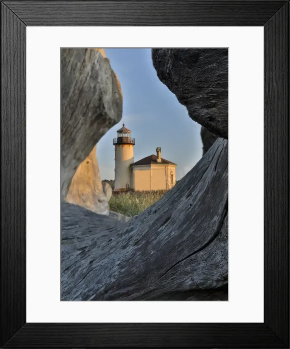 Framed Print : Evening light through drift logs Coquille River Lighthouse, Bullards Beach State Park Framed Print : Evening light through drift logs Coquille River Lighthouse, Bullards Beach State Park