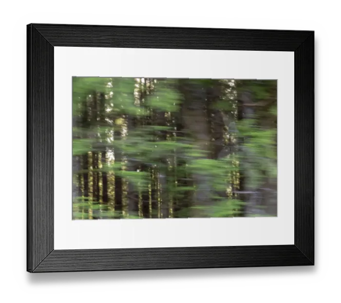 Framed Print : USA, Oregon. Motion blur through forest. Credit as: Wendy Kaveney  /  Jaynes Gallery