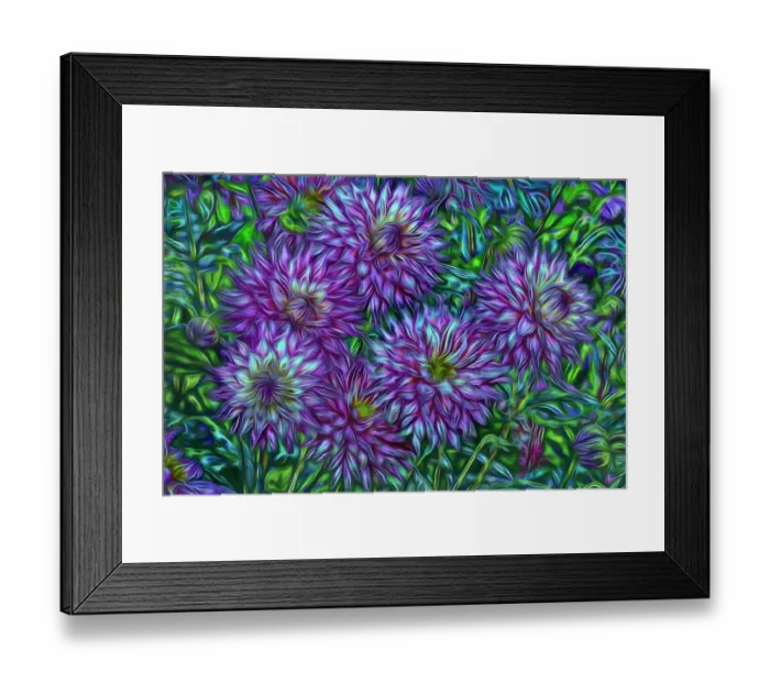 Framed Print : USA, Oregon, Shore Acres State Park. Abstract of dahlias in garden