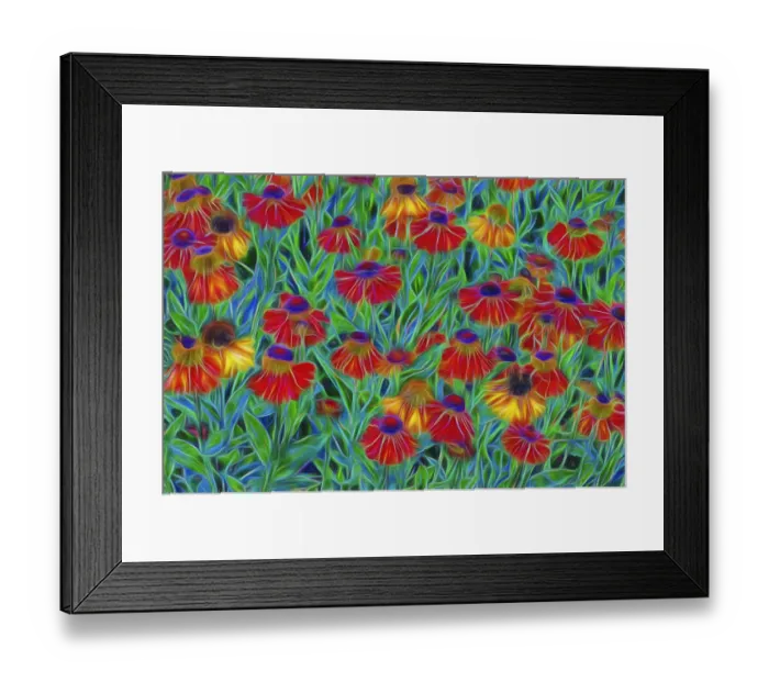 Framed Print : USA, Oregon, Coos Bay. Abstract of Helenium flowers in garden Framed Print : USA, Oregon, Coos Bay. Abstract of Helenium flowers in garden