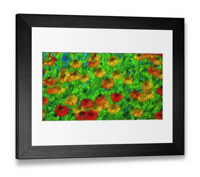 Framed Print : USA, Oregon, Coos Bay. Abstract of flower garden Framed Print : USA, Oregon, Coos Bay. Abstract of flower garden
