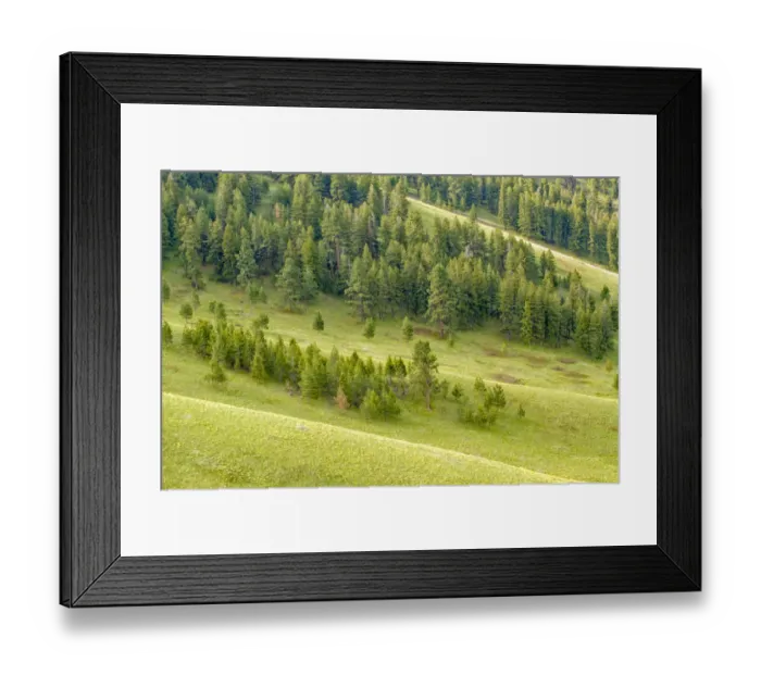 Framed Print : National bison Range, Montana, USA. Palouse Prairie grasslands on steep hills