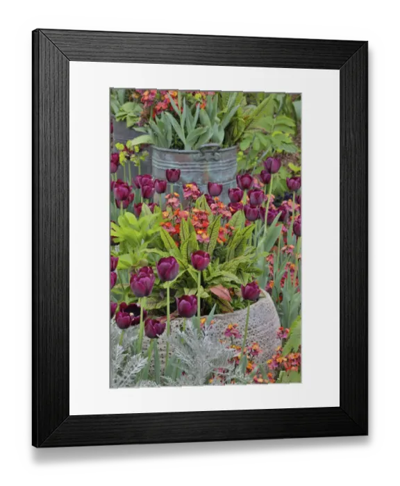 Framed Print : Colorful planters at entrance to Chanticleer Garden, Wayne, Pennsylvania Framed Print : Colorful planters at entrance to Chanticleer Garden, Wayne, Pennsylvania