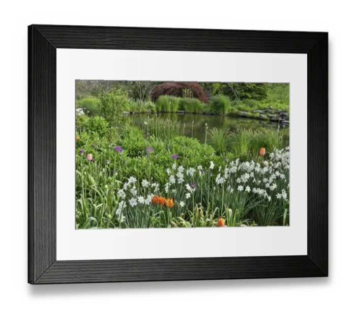 Framed Print : Flowers surrounding the Pond Garden. Chanticleer Garden, Wayne, Pennsylvania Framed Print : Flowers surrounding the Pond Garden. Chanticleer Garden, Wayne, Pennsylvania