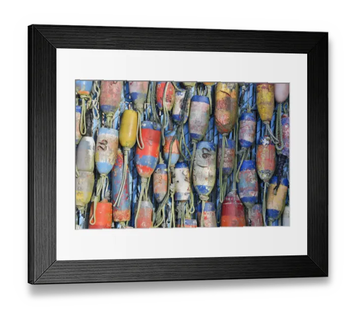 Framed Print : Buoy displayed, Charleston Marina, Oregon
