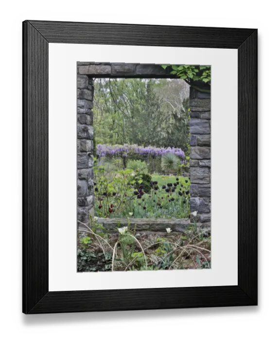 Framed Print : Looking through the window ruins. Chanticleer Garden, Wayne, Pennsylvania