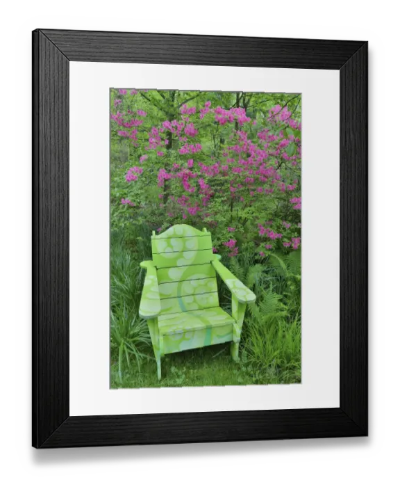 Framed Print : Green chair and azalea in bloom, Chanticleer Garden, Wayne, Pennsylvania Framed Print : Green chair and azalea in bloom, Chanticleer Garden, Wayne, Pennsylvania