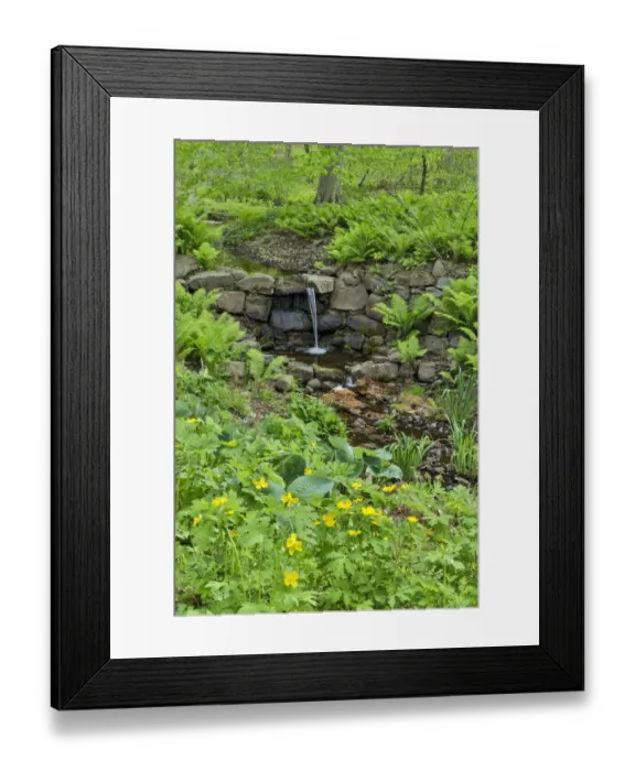 Framed Print : Flowers along Bells Run Creek, Chanticleer Garden, Wayne, Pennsylvania