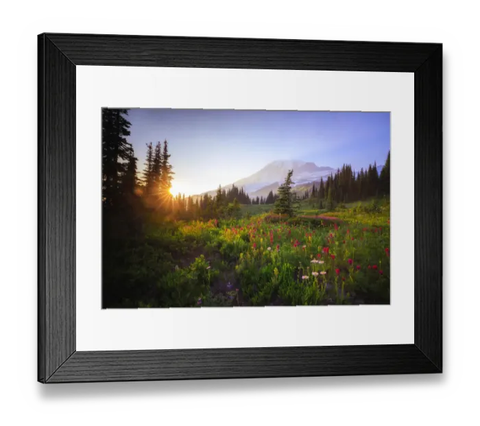 Framed Print : USA, Washington State, Mt Rainier National Park. Sunset on mountain wildflowers. Credit as