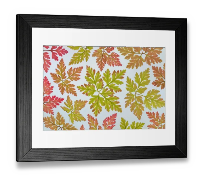 Framed Print : USA, Washington State, Seabeck. Close-up of herb-Robert leaves Framed Print : USA, Washington State, Seabeck. Close-up of herb-Robert leaves