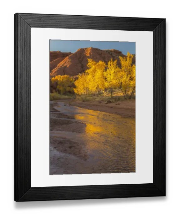 Framed Print : USA, Utah, Capitol Reef National Park. Sulphur Creek in autumn Framed Print : USA, Utah, Capitol Reef National Park. Sulphur Creek in autumn