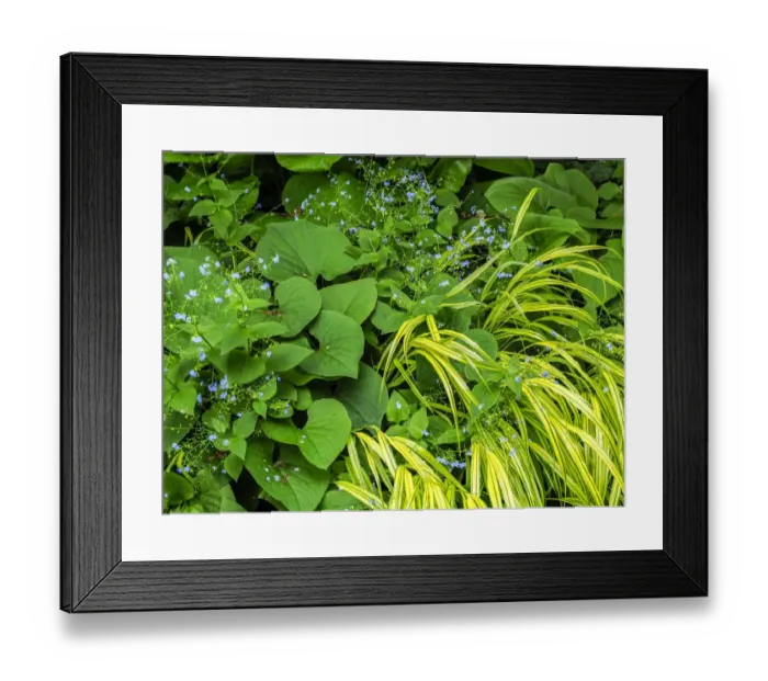Framed Print : Garden bed with different colors and textures