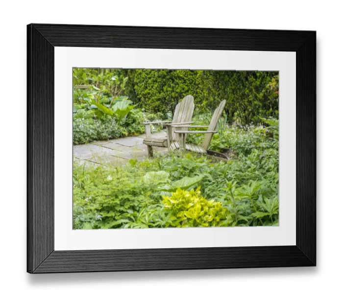 Framed Print : Adirondack chairs on a patio of a garden Framed Print : Adirondack chairs on a patio of a garden