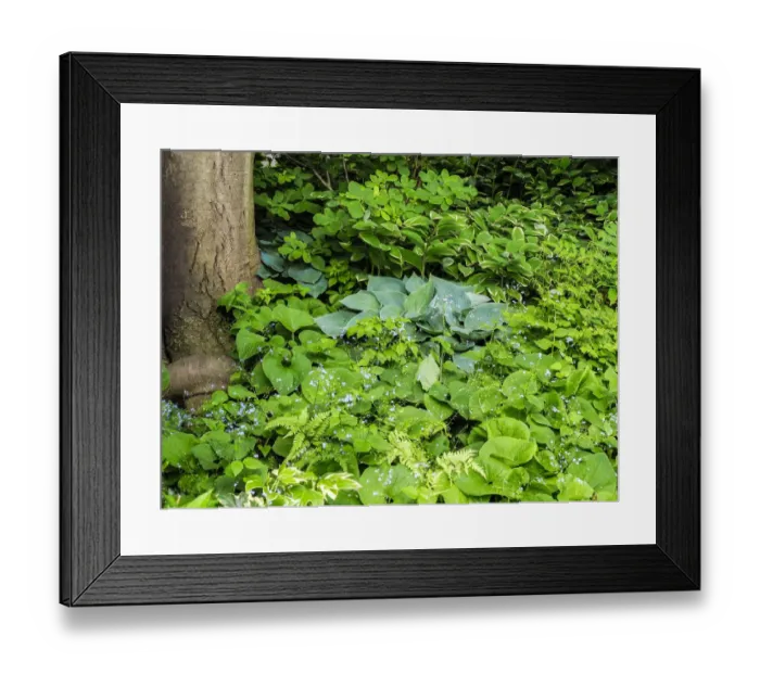 Framed Print : USA, Pennsylvania. Garden bed with different colors and textures Framed Print : USA, Pennsylvania. Garden bed with different colors and textures