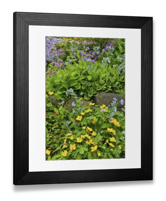 Framed Print : Bloom, Chanticleer Garden, Wayne, Pennsylvania