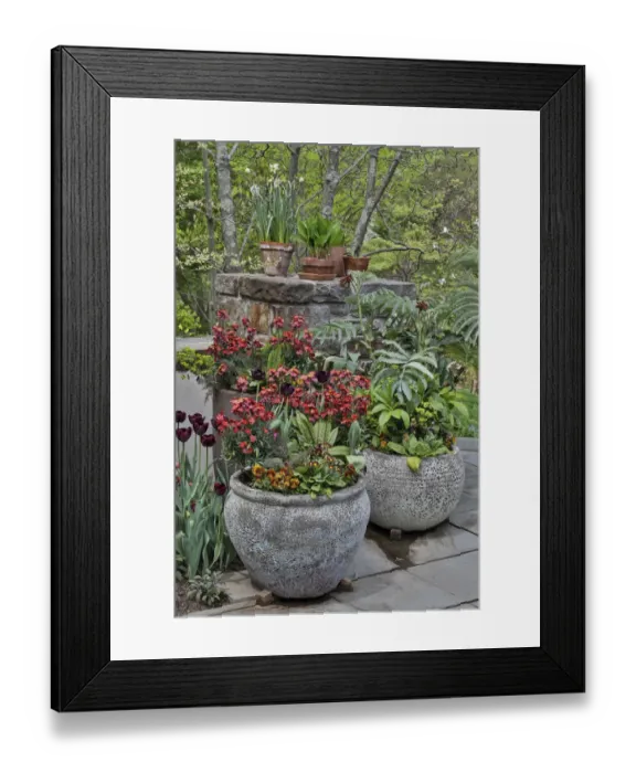 Framed Print : Colorful planters at entrance to Chanticleer Garden, Wayne, Pennsylvania Framed Print : Colorful planters at entrance to Chanticleer Garden, Wayne, Pennsylvania