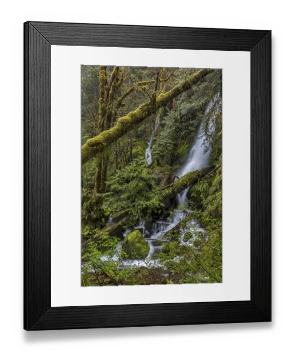 Framed Print : Merriman Falls in the Olympic National Forest, Washington State, USA Framed Print : Merriman Falls in the Olympic National Forest, Washington State, USA