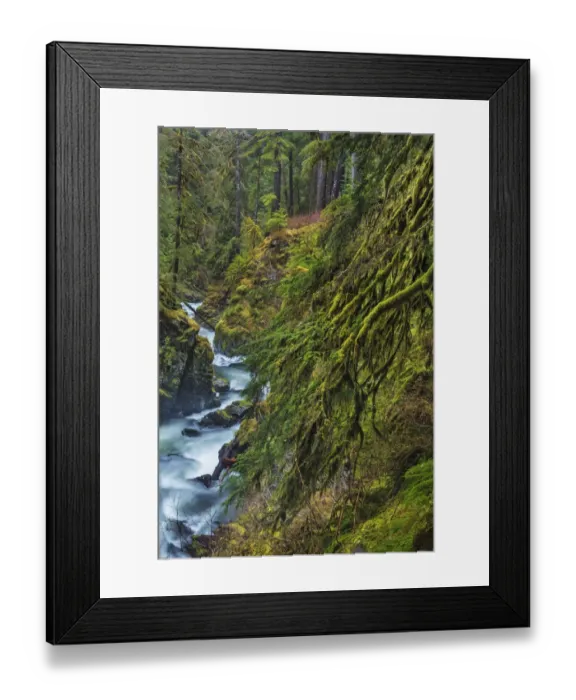 Framed Print : Sol Duc River in Olympic National Park, Washington State, USA Framed Print : Sol Duc River in Olympic National Park, Washington State, USA