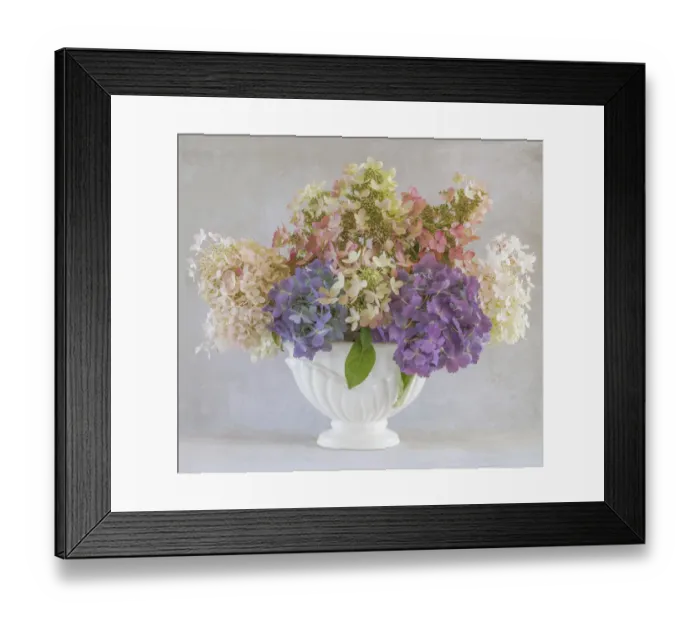 Framed Print : USA, Washington State, Seabeck. Hydrangea flower arrangement in vase