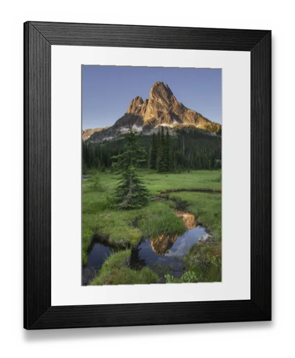 Framed Print : Liberty Bell Mountain reflected in still waters of State Creek, in meadows of, Washington Pass