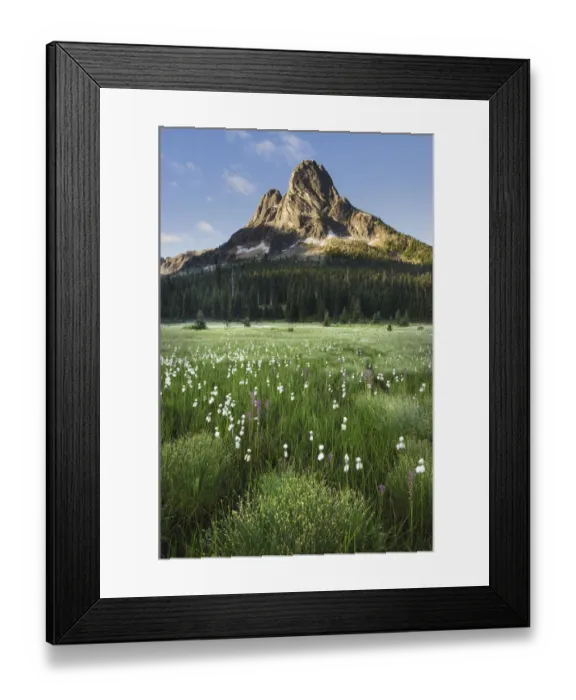 Framed Print : Liberty Bell Mountain seen from meadows of Washington Pass, North Cascades, Washington Framed Print : Liberty Bell Mountain seen from meadows of Washington Pass, North Cascades, Washington