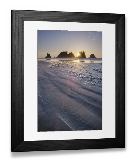 Framed Print : Sunset on Shi Shi Beach, sea stacks of Point of the Arches are in the distance