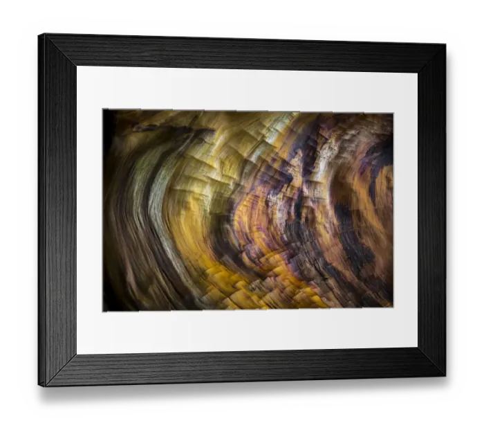 Framed Print : USA, Washington State, Seabeck. Hood Canal driftwood detail