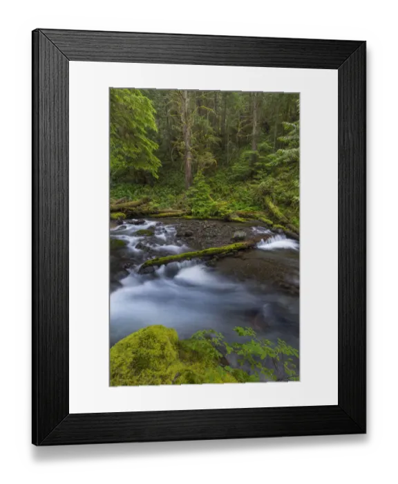 Framed Print : USA, Washington State, Olympic National Forest. Big Quilcene River rapids. Credit as Framed Print : USA, Washington State, Olympic National Forest. Big Quilcene River rapids. Credit as