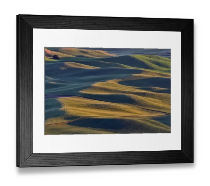 Framed Print : Rolling wheat fields as seen from above Steptoe Butte State Park, Washington State Framed Print : Rolling wheat fields as seen from above Steptoe Butte State Park, Washington State