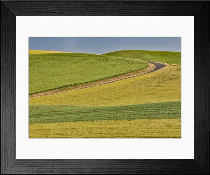 Framed Print : Dirt road evening light on rolling hills and wheat fields near Colfax, Eastern Washington Framed Print : Dirt road evening light on rolling hills and wheat fields near Colfax, Eastern Washington