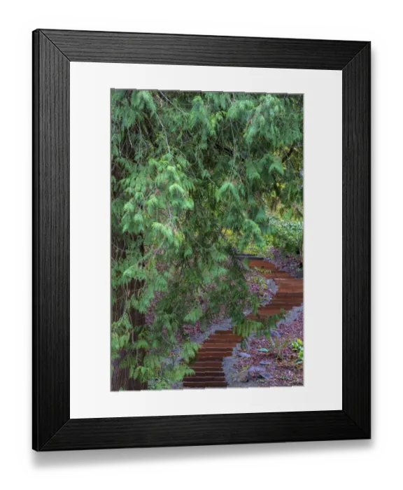 Framed Print : Stairway on trail at the Arboretum in Seattle, Washington State, USA Framed Print : Stairway on trail at the Arboretum in Seattle, Washington State, USA