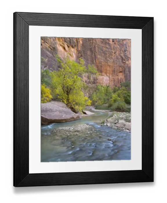 Framed Print : USA, Utah. Zion National Park, Virgin River
