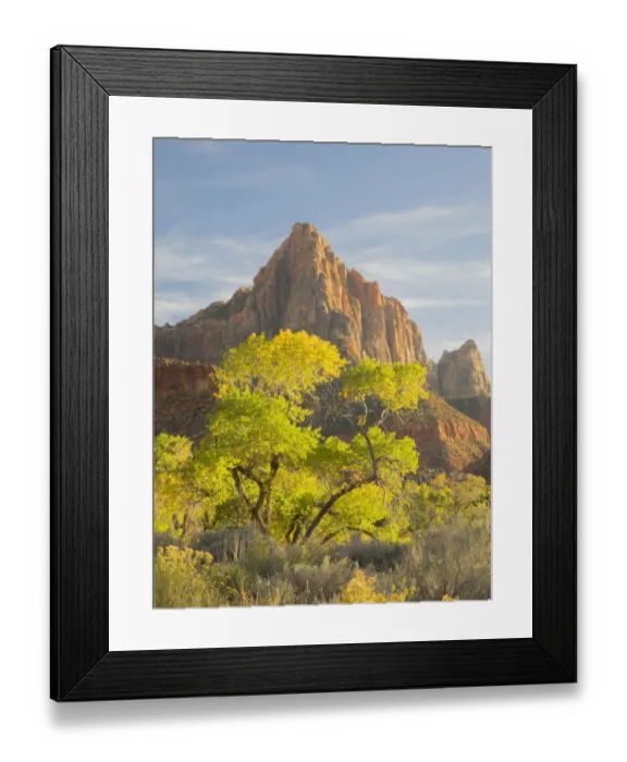 Framed Print : USA, Utah. Zion National Park, The Watchman