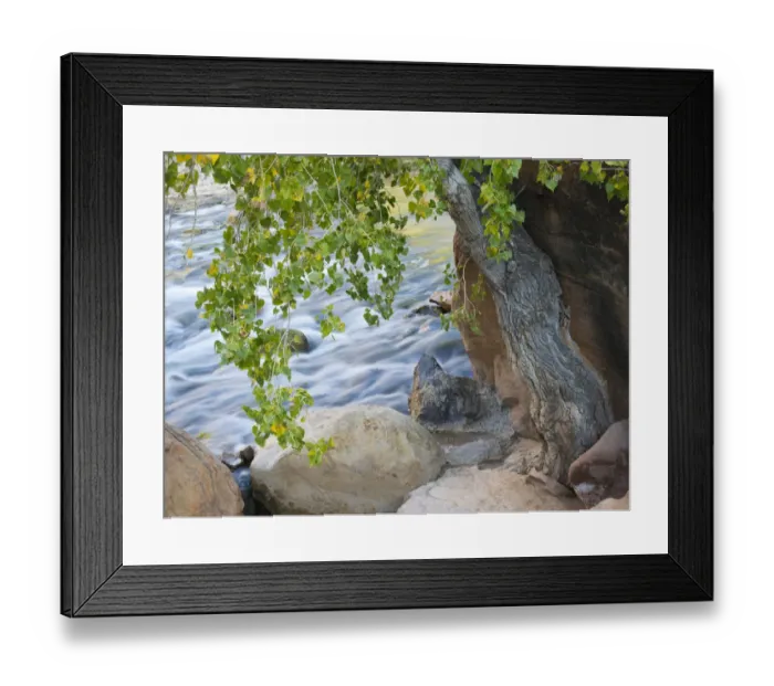 Framed Print : USA, Utah. Zion National Park, Cottonwood tree with the Virgin River Framed Print : USA, Utah. Zion National Park, Cottonwood tree with the Virgin River