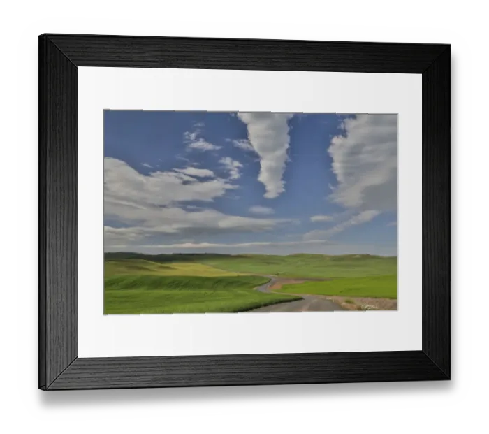 Framed Print : Gravel dirt road running through rolling hills planted in wheat, Eastern Washington Framed Print : Gravel dirt road running through rolling hills planted in wheat, Eastern Washington