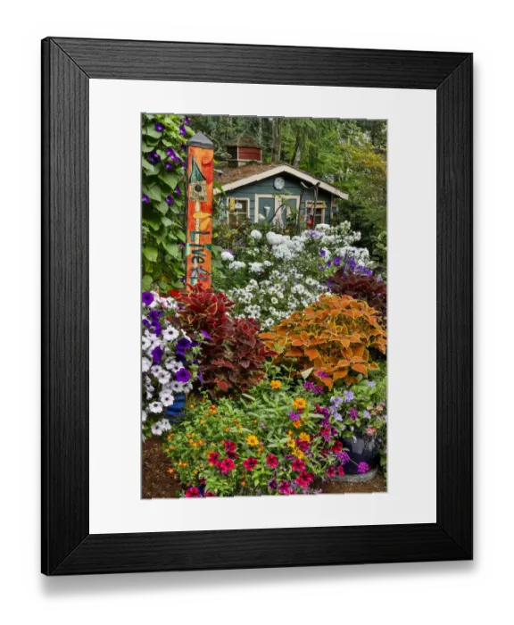 Framed Print : Garden in full bloom with garden shed, Sammamish, Washington State Framed Print : Garden in full bloom with garden shed, Sammamish, Washington State