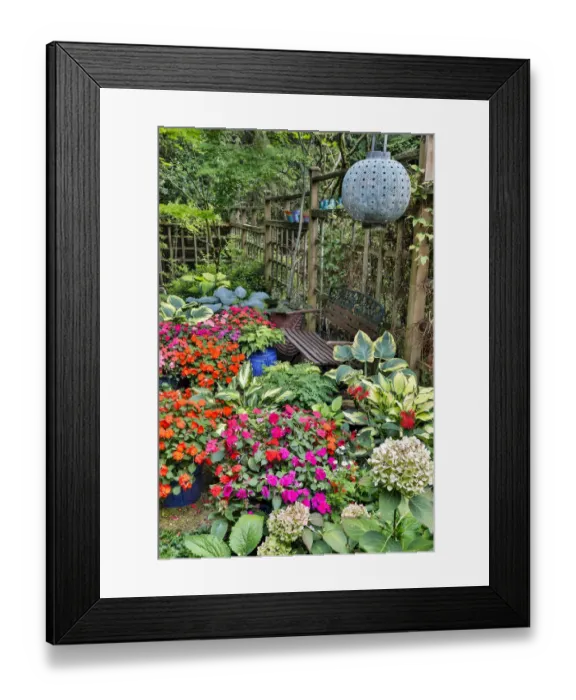 Framed Print : Garden in full bloom, Sammamish, Washington State Framed Print : Garden in full bloom, Sammamish, Washington State