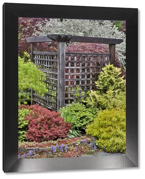 Wooden screen with deer proof shrubs and trees, Sammamish, Washington State