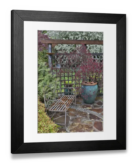 Framed Print : Wooden screen, bench and potted smoke bush with deer proof shrubs and trees, Sammamish