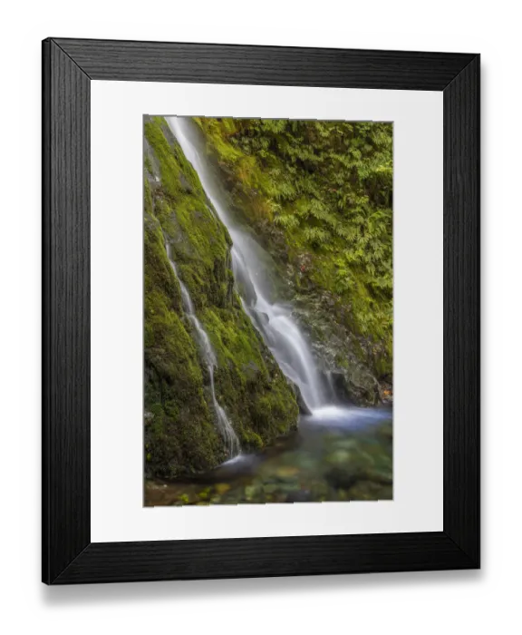 Framed Print : USA, Washington State, Olympic National Park Framed Print : USA, Washington State, Olympic National Park