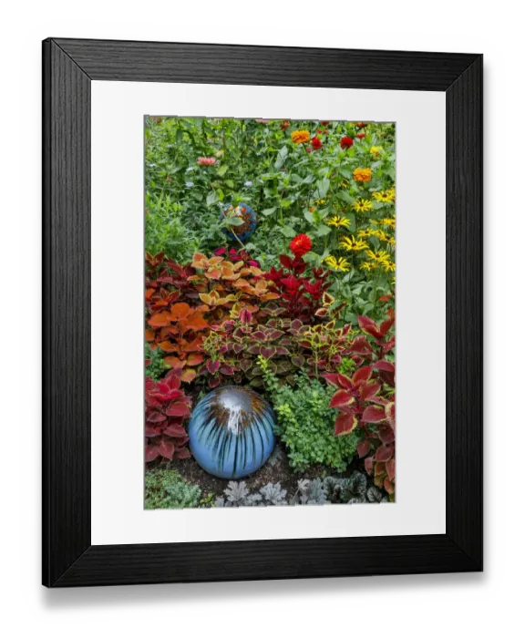 Framed Print : Summer flowers and coleus plants in bronze and reds, Sammamish, Washington State Framed Print : Summer flowers and coleus plants in bronze and reds, Sammamish, Washington State