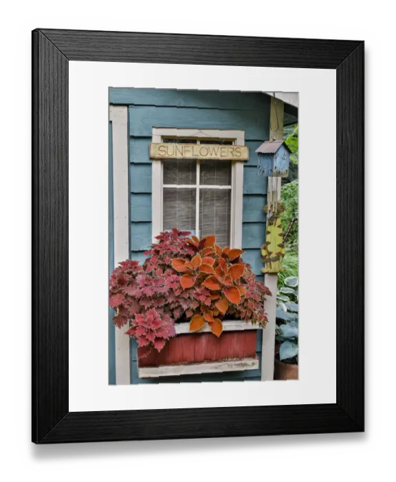 Framed Print : Planter box along shed in bronze and reds, Sammamish, Washington State Framed Print : Planter box along shed in bronze and reds, Sammamish, Washington State