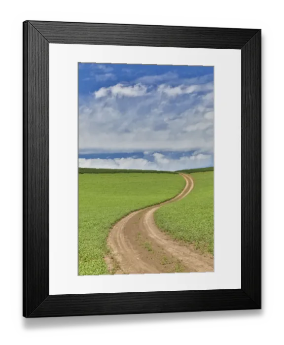Framed Print : Dirt road through pea fields, Eastern Washington, Palouse Country Framed Print : Dirt road through pea fields, Eastern Washington, Palouse Country