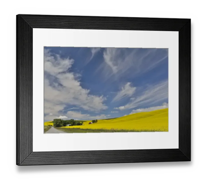 Framed Print : Red barn and gravel dirt road through canola field, Eastern Washington Framed Print : Red barn and gravel dirt road through canola field, Eastern Washington