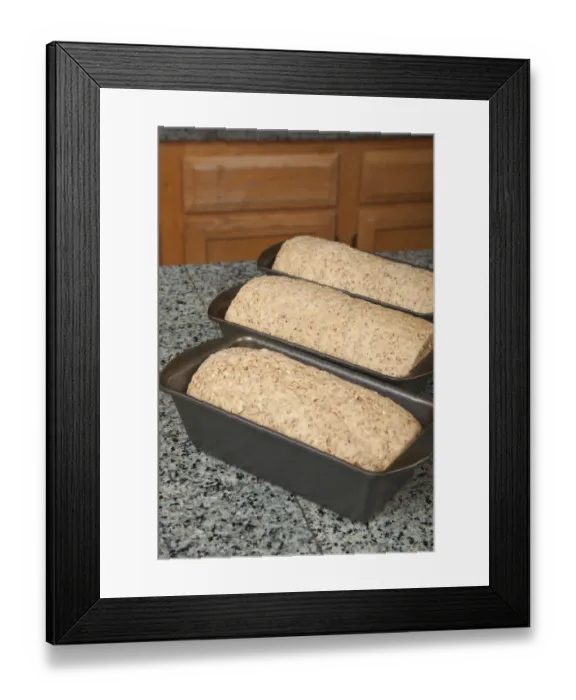 Framed Print : Three bread pans of multigrain dough ready for final rising Framed Print : Three bread pans of multigrain dough ready for final rising