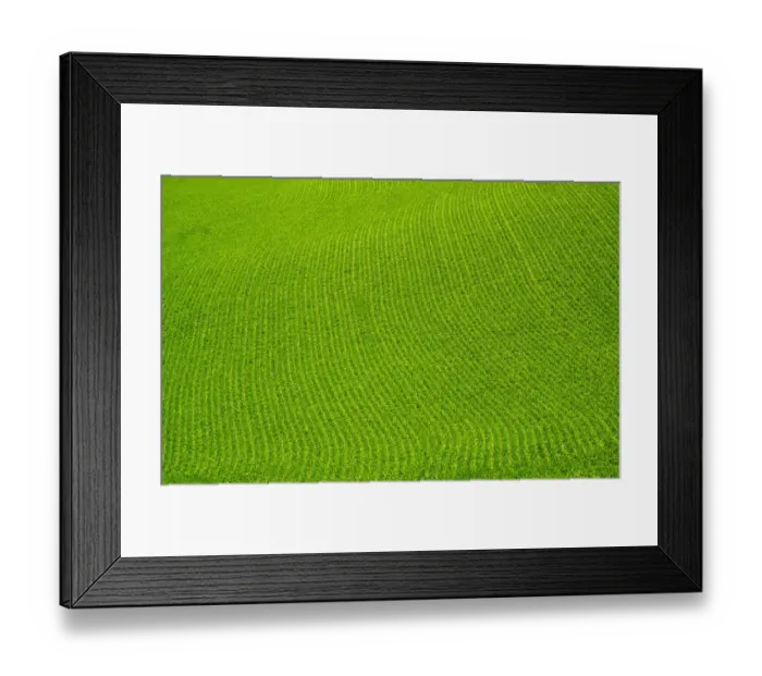 Framed Print : USA, Washington State, Palouse. Green field Framed Print : USA, Washington State, Palouse. Green field