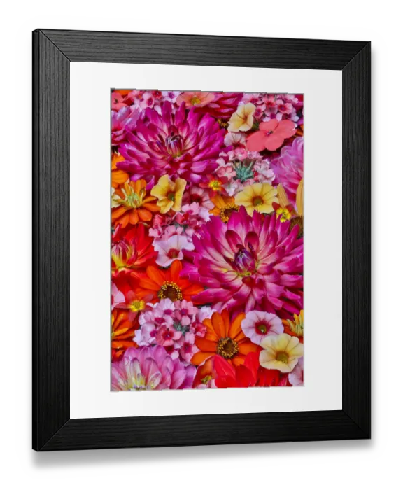 Framed Print : Flower pattern with large group of flowers, Sammamish, Washington State