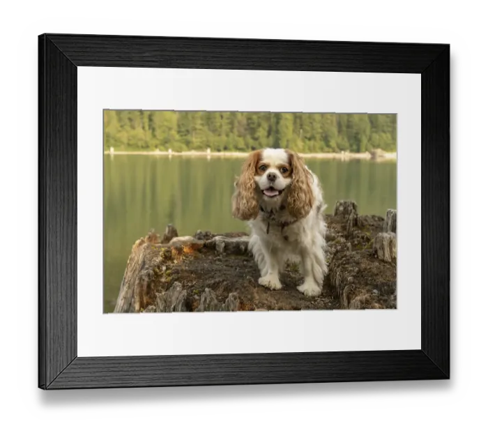Framed Print : Rattlesnake Lake Recreation Area, North Bend, USA Framed Print : Rattlesnake Lake Recreation Area, North Bend, USA